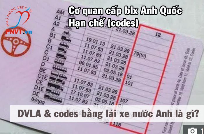 DVLA, codes trong bằng lái xe nước Anh là gì