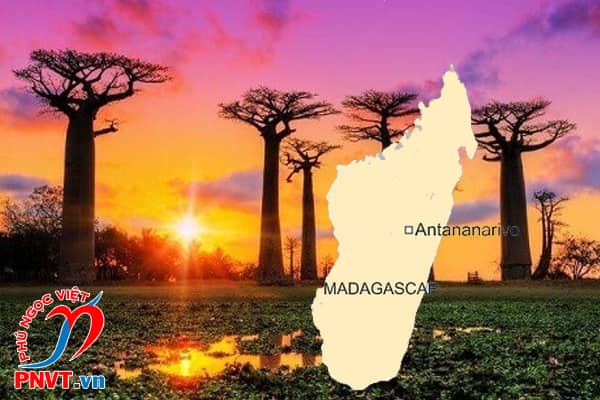 Gia hạn visa cho người Madagascar